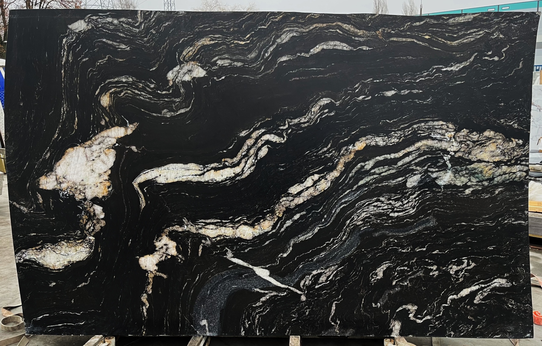 Titanium Gold 2cm skóra