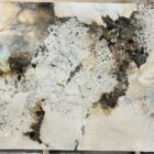 Alpinus Patagonia PSGranit Gdynia 10.2025