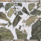 Amazonia spiek kwarcowy